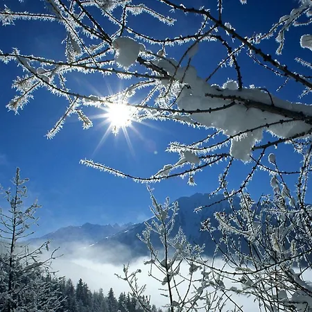 Bergnest Fruehstueckspension Pensjonat 3*