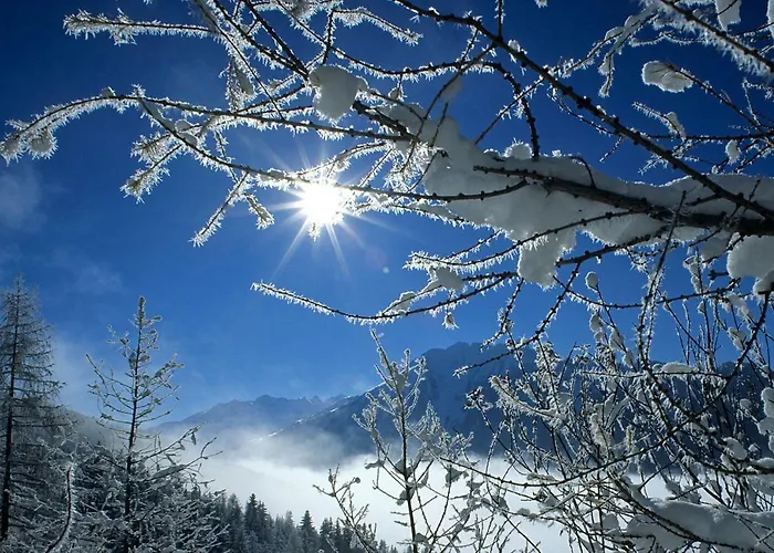 Bergnest Fruehstueckspension Gasthuis 3*